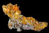 Wulfenite Crystal Cluster - Rowley Mine, AZ #76852-1